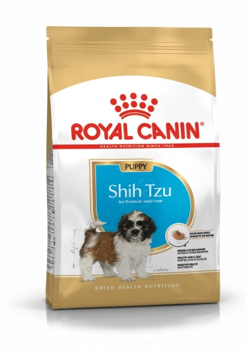 Royal Mini Shih Tzu Puppy 1,5kg