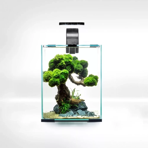 Aquael Shrimp Set Day&Night Smart 10 Czarny