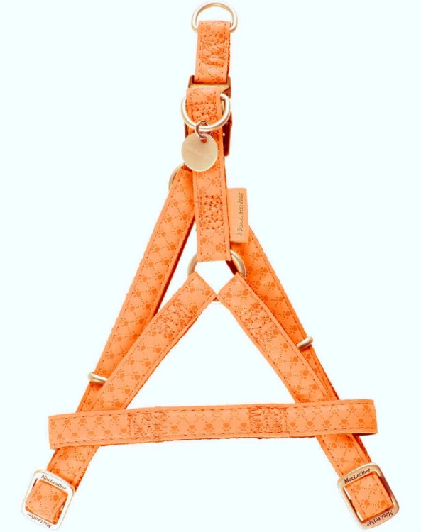 Zolux Mac Leather Szelki Regulowane 25mm Pomarańczowe