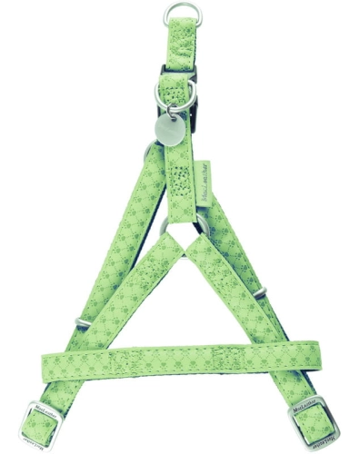 \Zolux Mac Leather Szelki Regulowane 25mm Seledyn