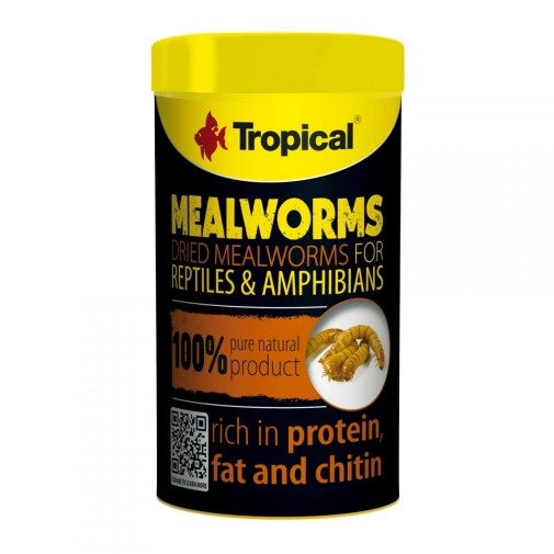 Tropical Meal Worms 100ml/13g