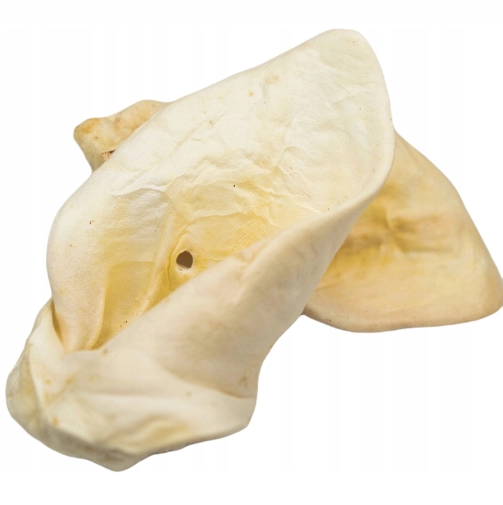 Gryzak Naturalny Ucho Cielęce Białe 1szt.