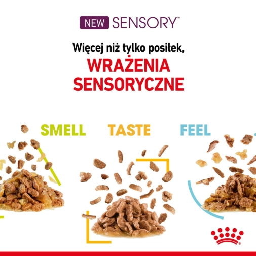 Royal Canin Sensory Smell 85g
