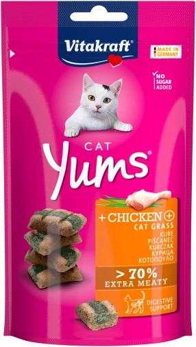 Vitakraft Przysmak Dla Kota Yums Kurczak/Trawa 40g