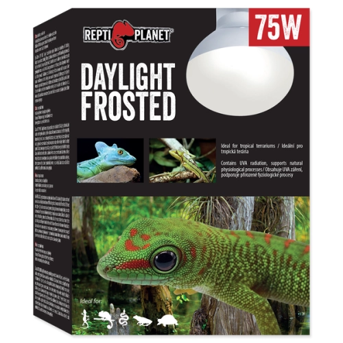 Reptiplanet Żarówka Daylight Frosted 75w
