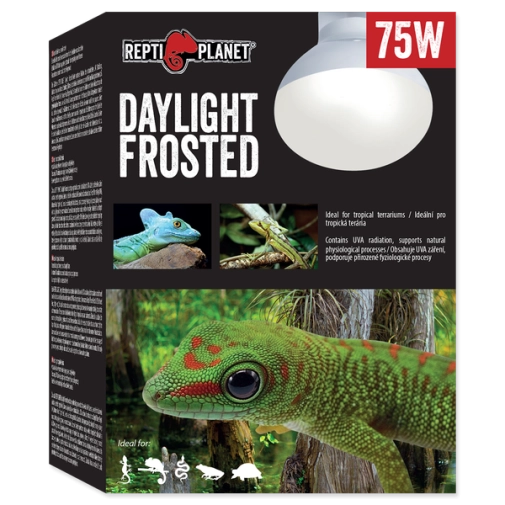 Reptiplanet Żarówka Daylight Frosted 75w