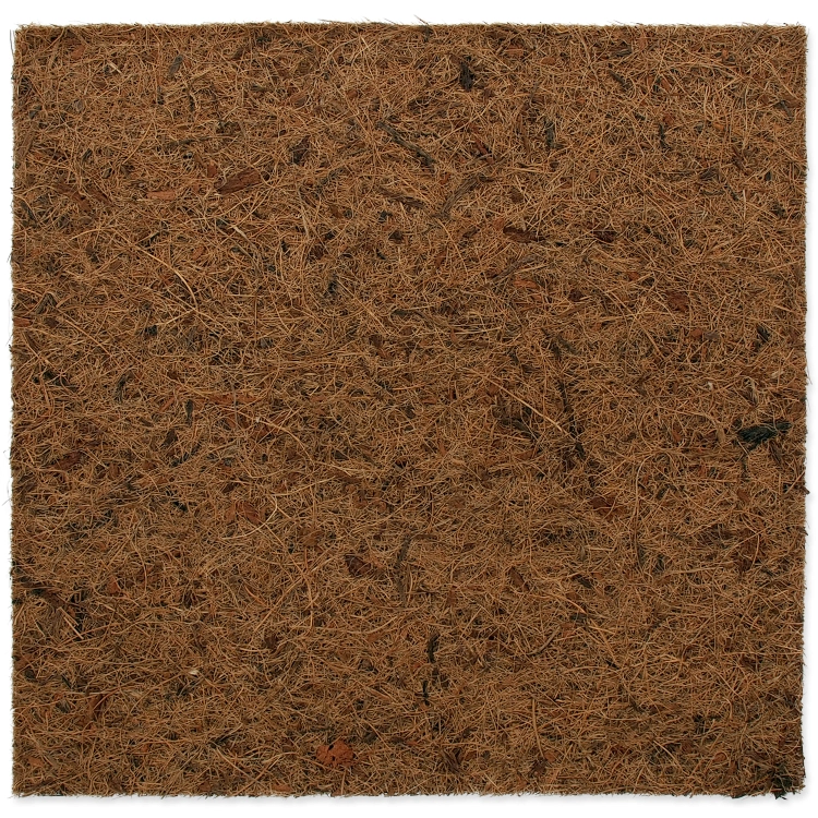 Reptiplanet Tło Kokos Płaskie Do Terrarium 50x50cm