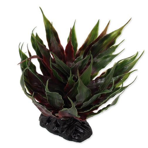 Reptiplanet Roślina Do Terrarium Agawa Zielona 18cm