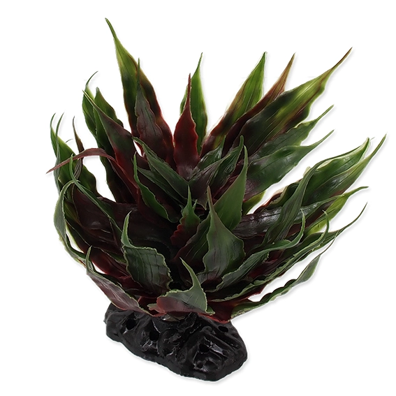 Reptiplanet Roślina Do Terrarium Agawa Zielona 18cm