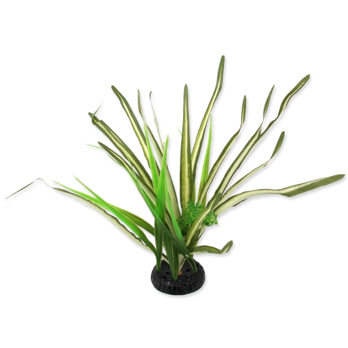 Reptiplanet Roślina Do Terrarium Spartina Trawa 30cm