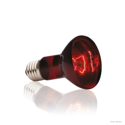 Hagen Exo Terra Żarówka Heat-glo 75w
