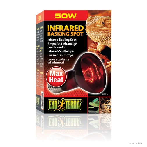 Hagen Exo Terra Żarówka Heat-glo 50w