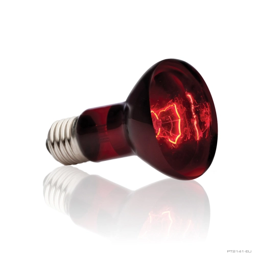 Hagen Exo Terra Żarówka Heat-glo 50w