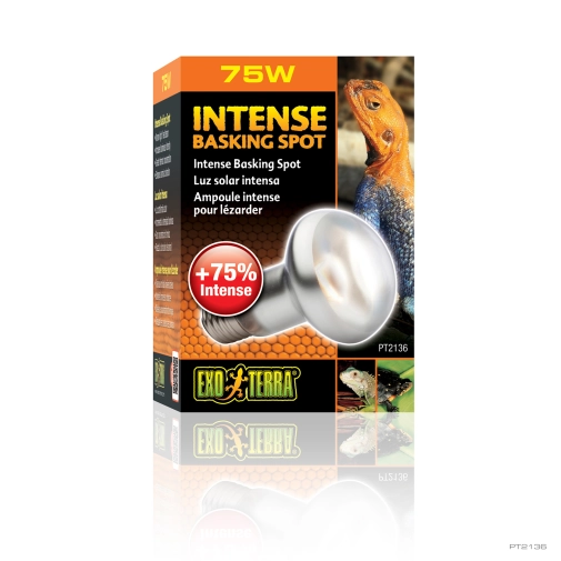 Hagen Exo Terra Żarówka Sun Glo Tight Beam 75w