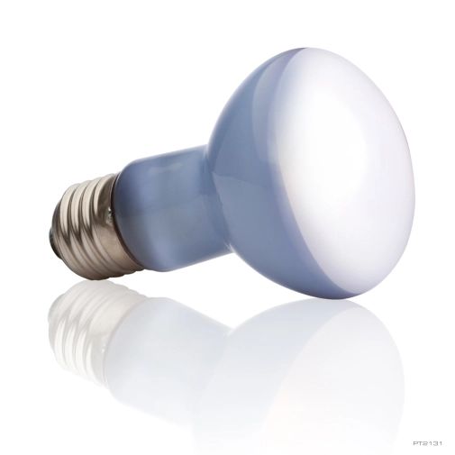 Hagen Exo Terra Żarówka Sun Glo Punktowa 50w Ziel
