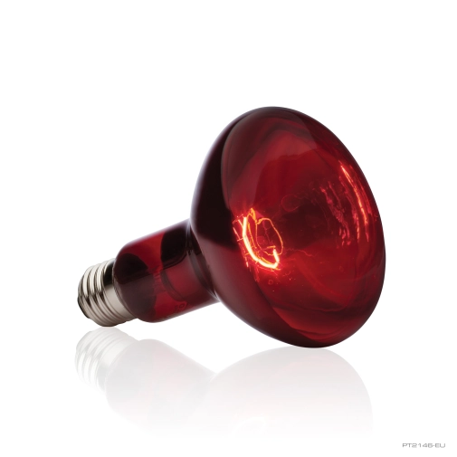 Hagen Exo Terra Żarówka Heat-glo 150w