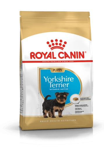 Royal Mini Yorkshire Puppy 7,5kg