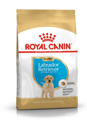 Royal Maxi Labrador Junior 12kg