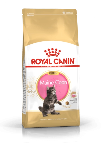 Royal Canin Maine Coon Kitten 400g