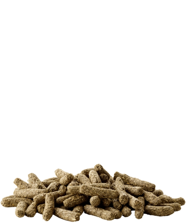 Versele - Laga Complete Cuni Sensitive 500g