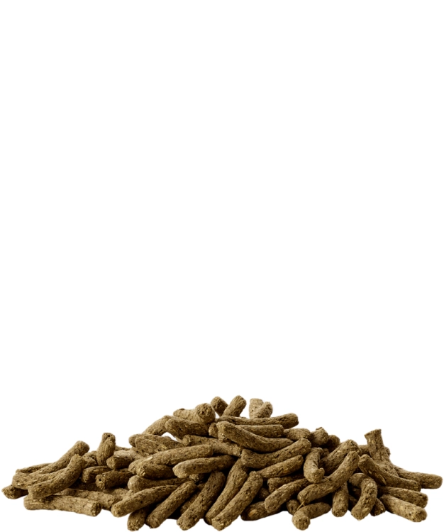 Versele - Laga Complete Cuni Junior 500g