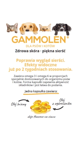 opis co zawiera jedna kapsłka