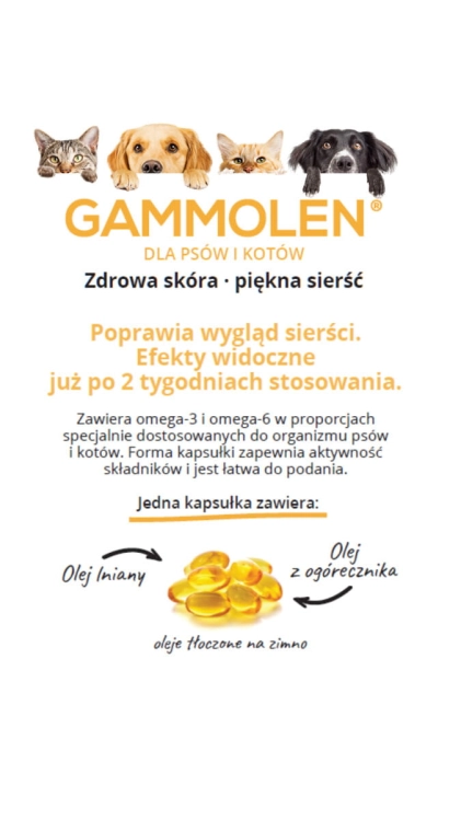 opis co zawiera jedna kapsłka