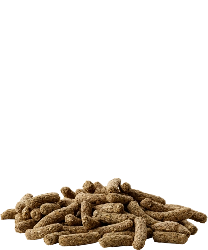 podłużne chupki