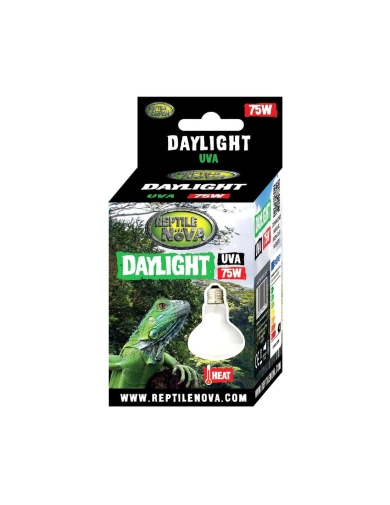 Reptile Nova Żarówka UVA do terrarium Daylight 75W