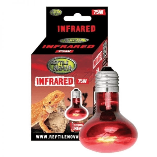 Reptile Nova Żarówka UVA do terrarium Infrared 75W