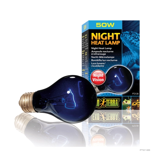 Exo Terra Żarówka Night-Glo A19/50w