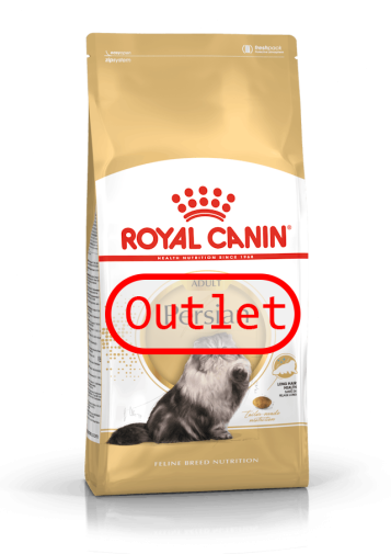Outtlet Royal Canin Persian 4kg (