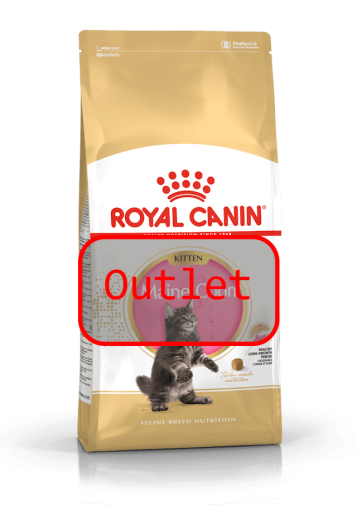 Outlet Royal Canin Maine Coon Kitten 400g