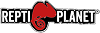 Producent: REPTI PLANET (przejdź do produktów)