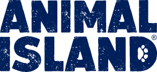 Producent: Animal Island (przejdź do produktów)